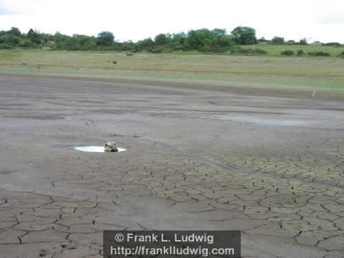 Lough Nasool Drained (2006)